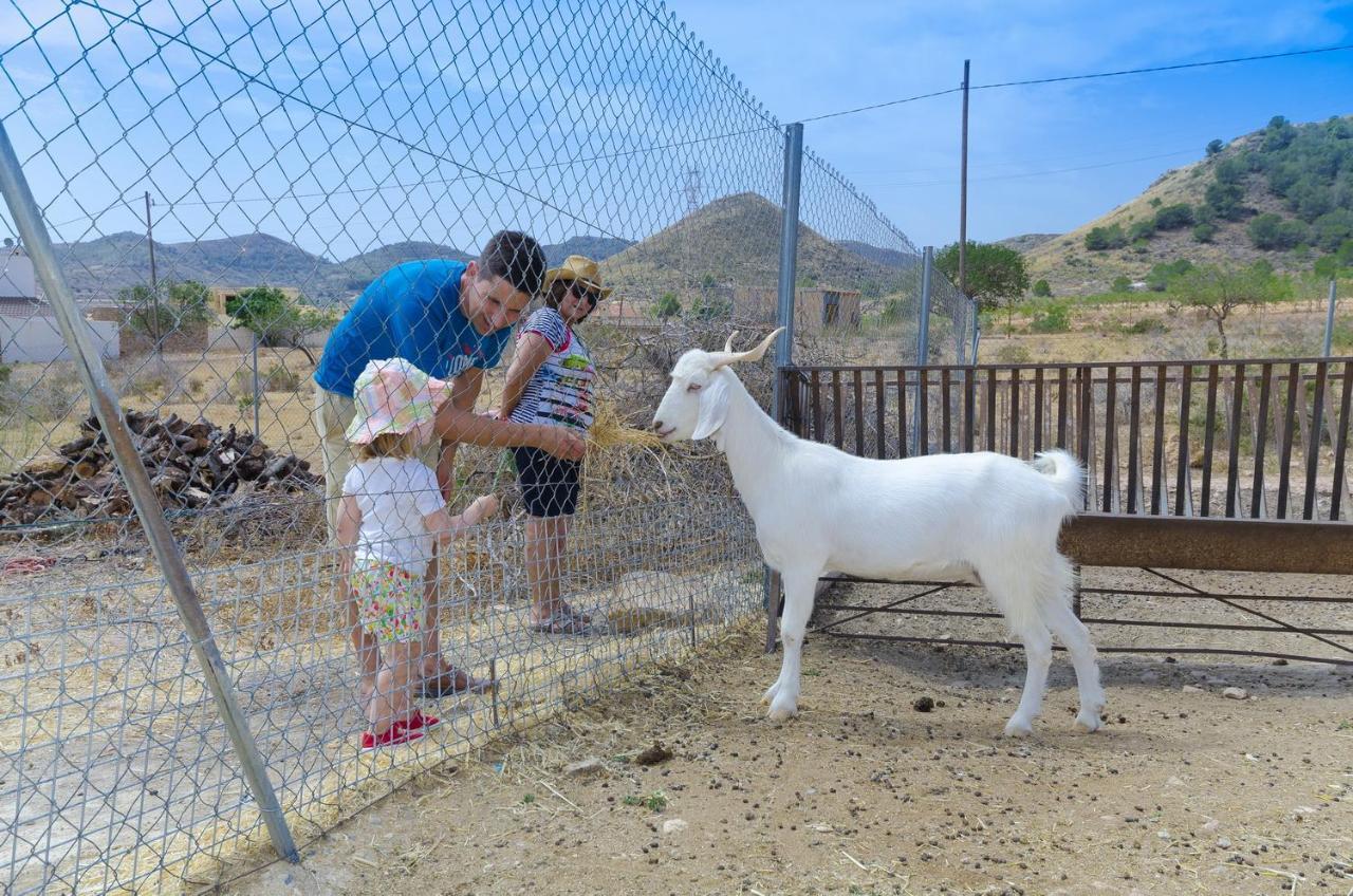 Finca Liarte Guest House Fuente Alamo  Ngoại thất bức ảnh